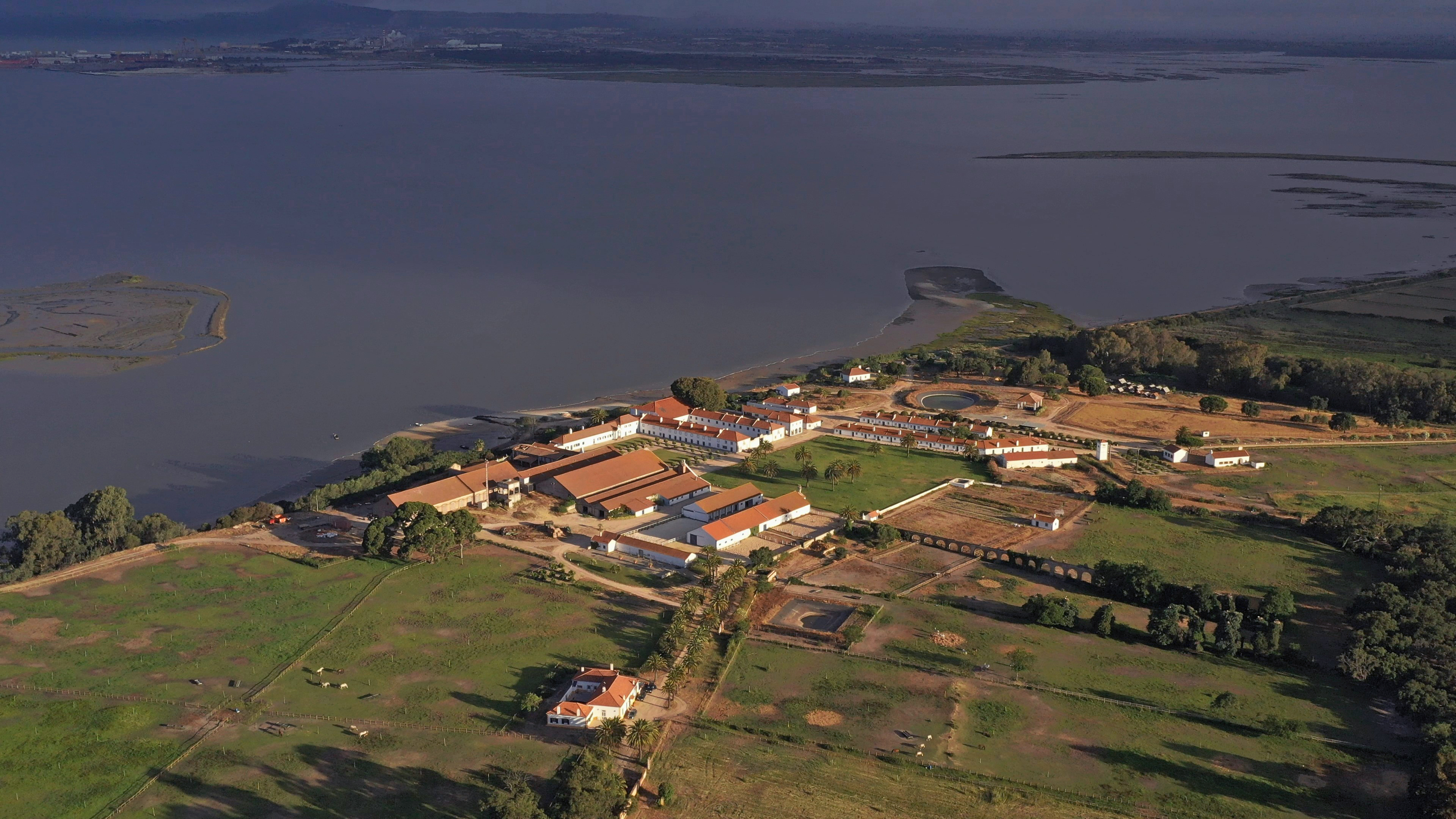 pays_el_Monte_Pinheiro_Portugal_06_22 (2) copy2.jpg